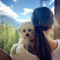 CINDIEMVP (@cindievpm) 's Twitter Profile