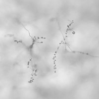 Penaud Valentin (@valentinpenaud_) 's Twitter Profile