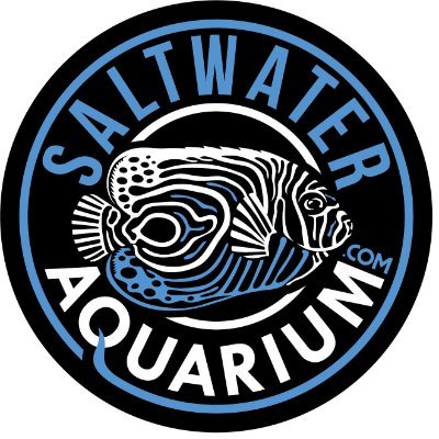 Thank you for considering Saltwater for all of your Aquarium needs!