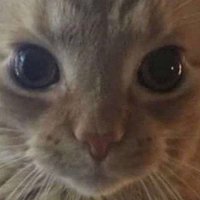 4 (@baiigan) 's Twitter Profile Photo