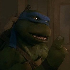 Hi Leonardo here and i am the Original Movie Leo. Brothers are Raphael, Donatello, and Michelangelo Sensei is Master Splinter.