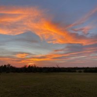 Glenna Keller (@glennak83796543) 's Twitter Profile