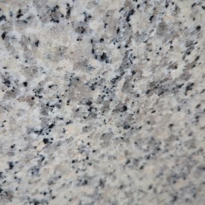 Hilola's profile picture. 