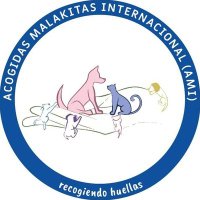 AMI - Acogidas Malakitas Internacional(@AMIacogemos) 's Twitter Profile Photo