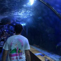 Mario Sánchez (@bimbamman) 's Twitter Profile