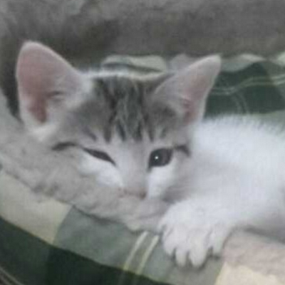 TimmyWhiteX's profile picture. 