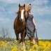 Hollow Point Quarter Horses (@hollowpointqh) Twitter profile photo Hollow Point Quarter Horses (@hollowpointqh) Twitter profile photo