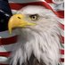 Jim A. (@jim36225349) Twitter profile photo Jim A. (@jim36225349) Twitter profile photo
