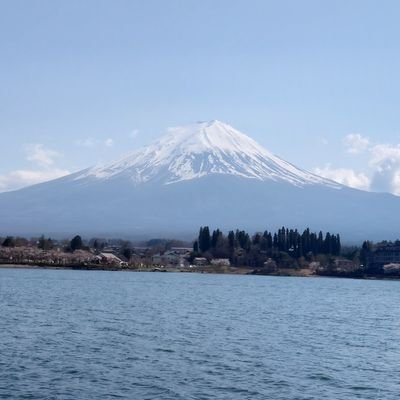 DBpNgQ2K8IT0Uh8's profile picture. 