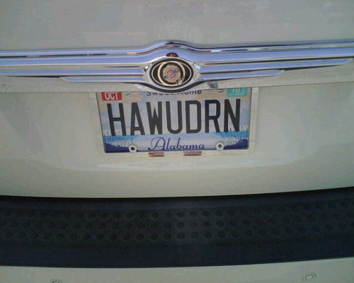 BamChell's profile picture. 