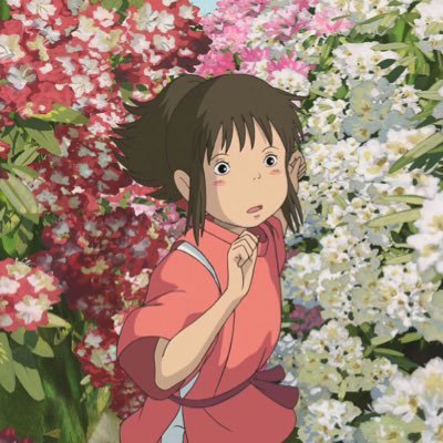 stacycc10's profile picture. sunshine