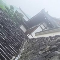 とし (@my_names_toshi) 's Twitter Profile