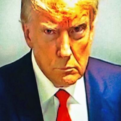 TWlTTERGULAG's profile picture. X #J6 #TwitterGulag 🇺🇲