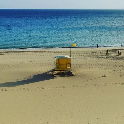 xgolyx's profile picture. 