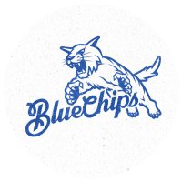 Blue Chips(@UKBlueChips) 's Twitter Profileg