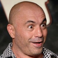 Not Joe Rogan(@ImNotJoeRogan) 's Twitter Profile Photo