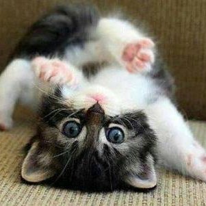 dormant_35's profile picture. 