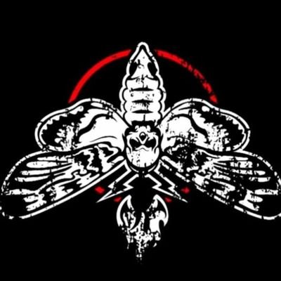 ReysBoi's profile picture. Lvl 23, Simp For many wrestlers,Proud Idiot. Fan account. Army, Moa, Carat, Stay; I like lots of things