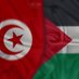 ‏‎ 🇵🇸🇹🇳تونسية حرة (@TunisienneMarwa) Twitter profile photo