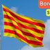 anna bofill i rovira (@mistuxurri) Twitter profile photo anna bofill i rovira (@mistuxurri) Twitter profile photo