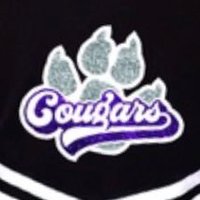 RCHSCHEERTEAM(@RCHSCHEERSQUAD) 's Twitter Profile Photo