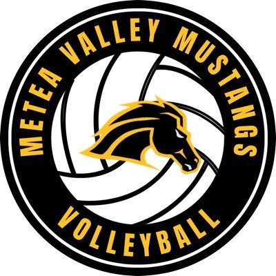 Metea Girls VB