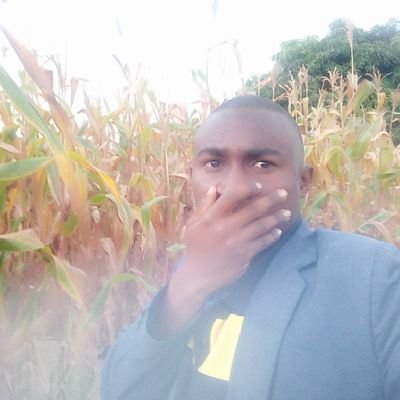 Farmer Maize🌽🌽&Beans🍂🍂🍂& Sunflower 🌻🌻🌻 _Agribusiness,Teacher