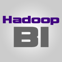 hadoopbi's profile picture. Big Data Business Intelligence