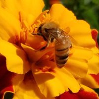 Lynne Ellis (@lellis110282) 's Twitter Profile