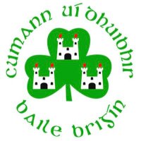 O'Dwyers GAA (@odwyersgaa) 's Twitter Profile