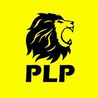 Partido Libertario Peruano - PLP(@plpperulima) 's Twitter Profile Photo
