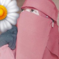 لميس حسن (@lameshsn) 's Twitter Profile