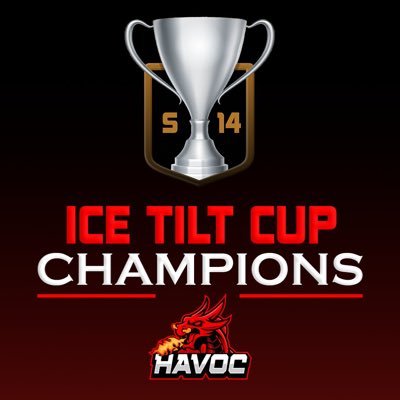 NHLHavoc Profile Picture