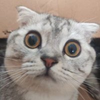 Hasret Kaygusuz (@hasretkaygusuz7) Twitter profile photo