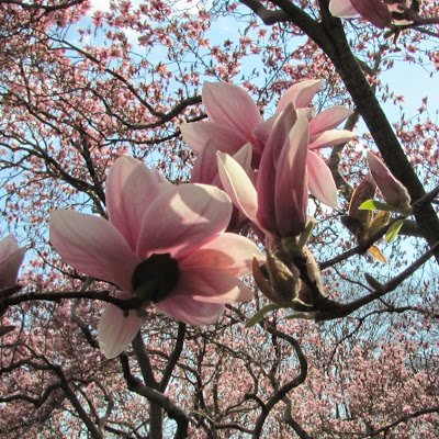 hinkey_mic52778's profile picture. 