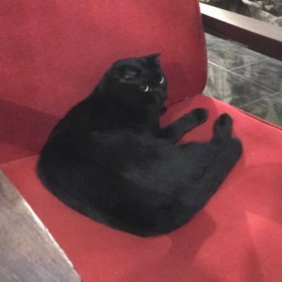 WoresomeYouth's profile picture. 