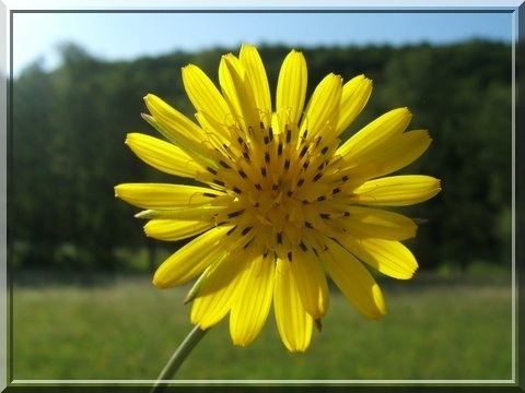 Karschkar's profile picture. 