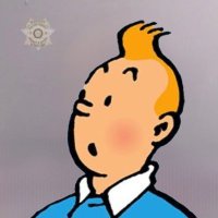 Tintin(@Tintin75141732) 's Twitter Profile Photo