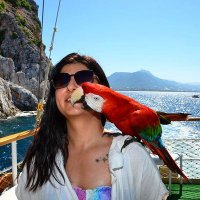 Hilal ÖZER (@hilalllozerr) Twitter profile photo