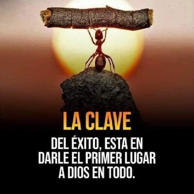 Mamablanka's profile picture. Los que esperan en el Señor renovarán sus fuerzas. Isaías 40:31