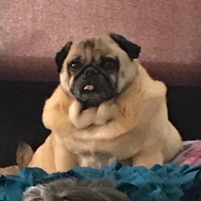 henrysmama60's profile picture. 