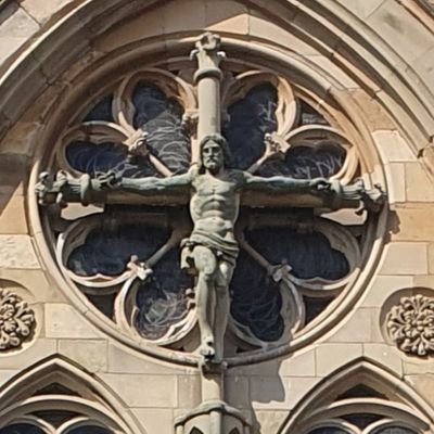 ThomasR66974242's profile picture. 