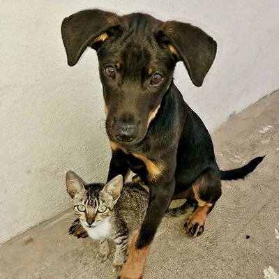 chamito_cholito's profile picture. Amor,con Amor se paga