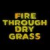 Fire Through Dry Grass (@ftdgfilm) Twitter profile photo