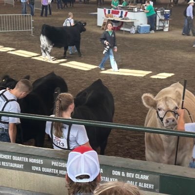 Macianns's profile picture. 