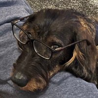 Roland Moore (@rolandmooretv) 's Twitter Profile