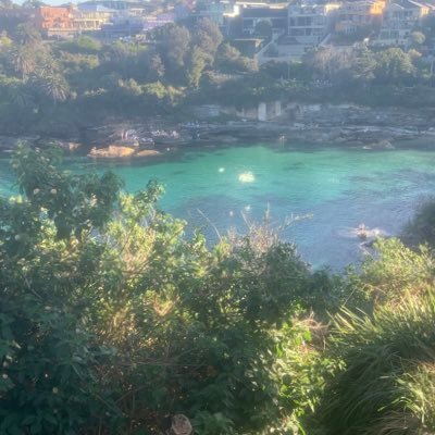 lxly222's profile picture. 🌝🌚