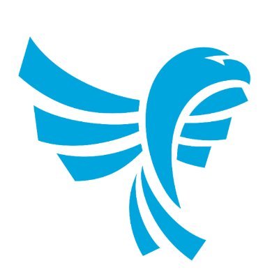 Blue Eagle Consulting provides healthcare IT consulting resources to hospitals, health plans, and physicians' groups