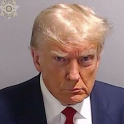 Tigerlily5319's profile picture. Conservative Trump supporter Ultra Maga #1A #2A anti abortion Southerner