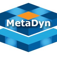 MetaDyn (@metaversedyn) 's Twitter Profile